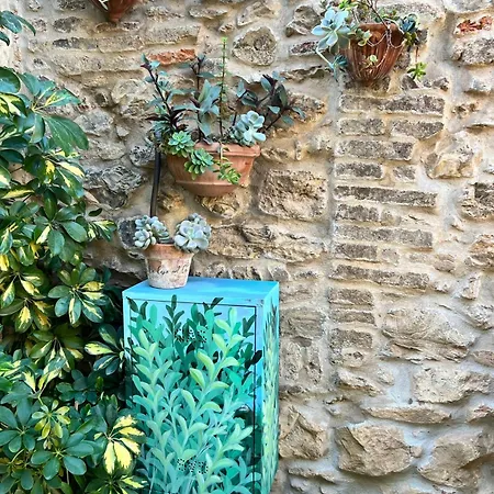 La Casa Nel Castello E Il Giardino Segreto * Suvereto