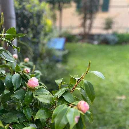 La Casa Nel Castello E Il Giardino Segreto * Suvereto