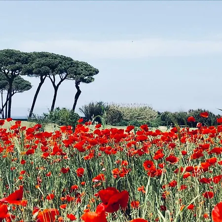 La Casa Nel Castello E Il Giardino Segreto *